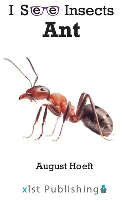 Mravec - Ant