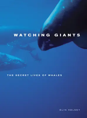 Pozorovanie obrov: Tajný život veľrýb - Watching Giants: The Secret Lives of Whales