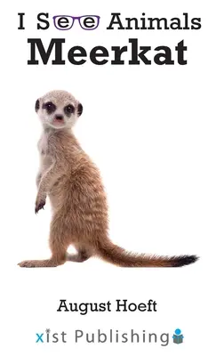 Surikata - Meerkat