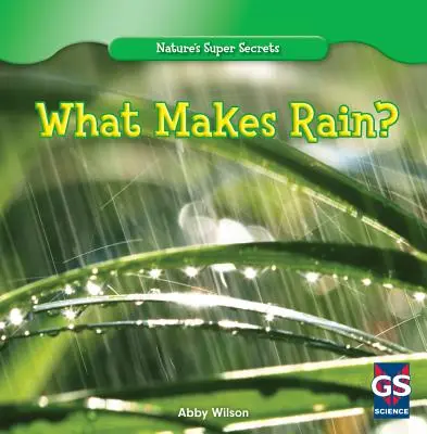 Čo robí dážď? - What Makes Rain?