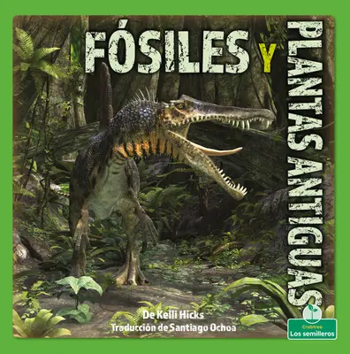 Fsiles Y Plantas Antiguas (Skameneliny a staré rastliny) - Fsiles Y Plantas Antiguas (Fossils and Ancient Plants)