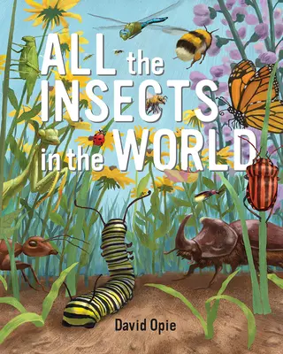 Všetok hmyz na svete - All the Insects in the World