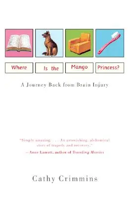 Kde je mangová princezná? Cesta späť po úraze mozgu - Where Is the Mango Princess?: A Journey Back from Brain Injury