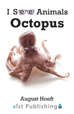 Chobotnica - Octopus