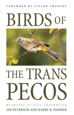 Vtáky Trans-Pecos - Birds of the Trans-Pecos