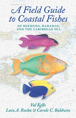 Terénny sprievodca pobrežnými rybami Bermúd, Bahám a Karibského mora - A Field Guide to Coastal Fishes of Bermuda, Bahamas, and the Caribbean Sea