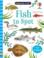 Ryby na spoznávanie - Fish to Spot