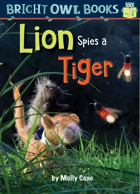 Lev špehuje tigra - Lion Spies a Tiger