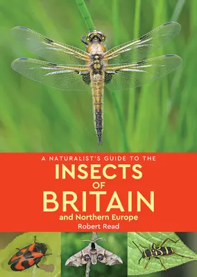 Príručka prírodovedca o hmyze Británie a severnej Európy - A Naturalist's Guide to the Insects of Britain & Northern Europe