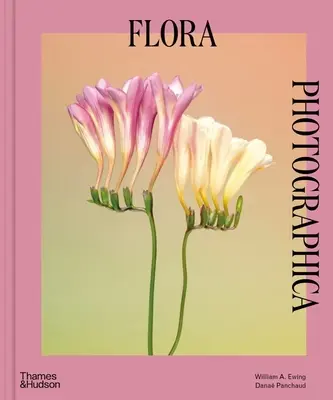 Flora Photographica: Kvetina v súčasnej fotografii - Flora Photographica: The Flower in Contemporary Photography