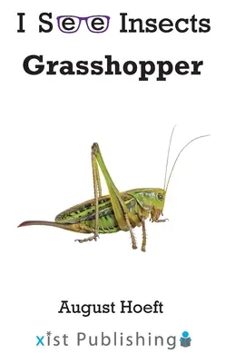 Kobylka - Grasshopper