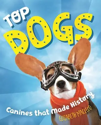 Top psy: psy, ktoré sa zapísali do histórie - Top Dogs: Canines That Made History
