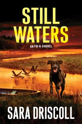 Tiché vody: Strhujúci román plný napätia - Still Waters: A Riveting Novel of Suspense