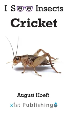 Cvrček - Cricket