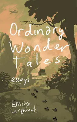 Obyčajné zázračné príbehy - Ordinary Wonder Tales
