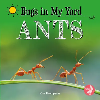 Mravce - Ants