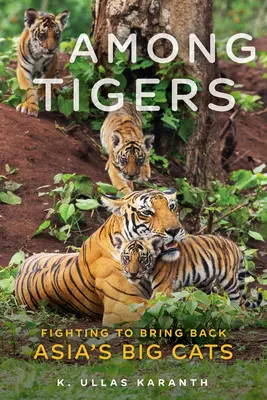 Medzi tigrami: Boj za návrat veľkých ázijských mačiek - Among Tigers: Fighting to Bring Back Asia's Big Cats