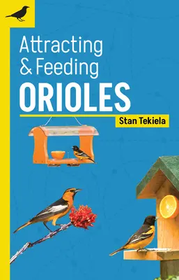 Prilákanie a kŕmenie škovránkov - Attracting & Feeding Orioles