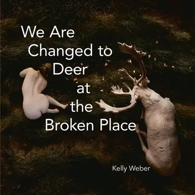 Sme premenení na jeleňa na rozbitom mieste - We Are Changed to Deer in the Broken Place