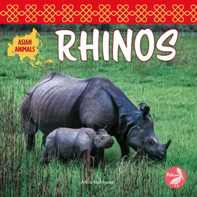 Nosorožce - Rhinos