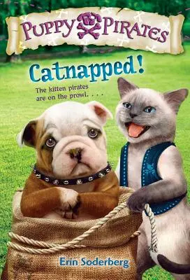 Unesená mačka! - Catnapped!