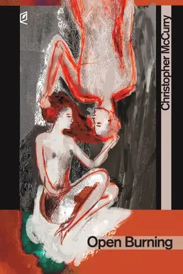 Open Burning (Otvorené horenie) - Open Burning