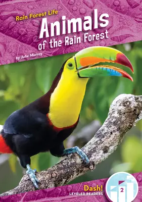 Zvieratá dažďového pralesa - Animals of the Rain Forest