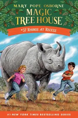 Nosorožce na prestávke - Rhinos at Recess