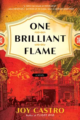 Jeden žiarivý plameň - One Brilliant Flame