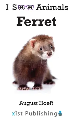 Fretka - Ferret