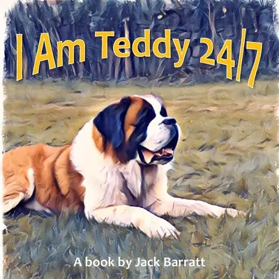 Som Teddy 24/7 - I Am Teddy 24/7