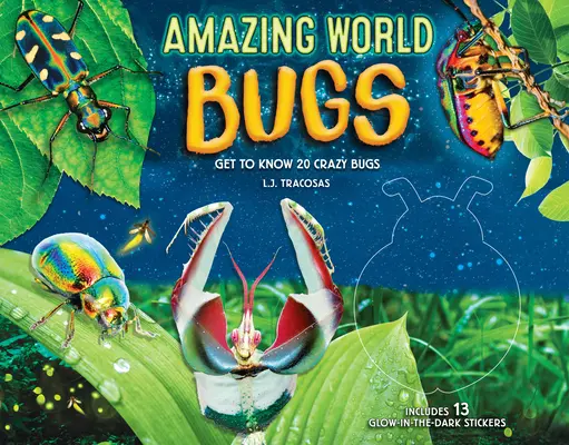 Úžasný svet: Chrobáci: Svet chrobákov: Kniha o chrobákoch a chrobáčikoch: Spoznajte 20 bláznivých chrobákov - Amazing World: Bugs: Get to Know 20 Crazy Bugs