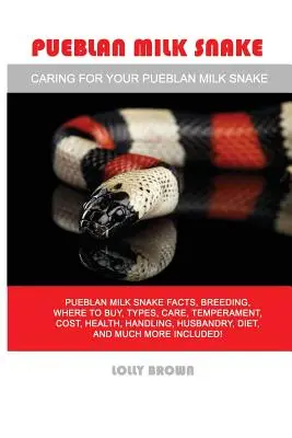 Pueblanský mliečny had: Mliečny had Pueblan: fakty, chov, kde kúpiť, typy, starostlivosť, temperament, náklady, zdravie, manipulácia, chov, strava, a - Pueblan Milk Snake: Pueblan Milk Snake facts, breeding, where to buy, types, care, temperament, cost, health, handling, husbandry, diet, a