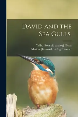Dávid a morské čajky; - David and the Sea Gulls;