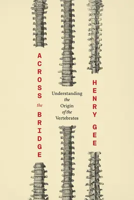 Cez most: Pochopenie pôvodu stavovcov - Across the Bridge: Understanding the Origin of the Vertebrates