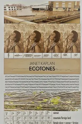 Ekotóny - Ecotones