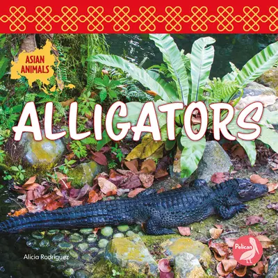 Aligátory - Alligators