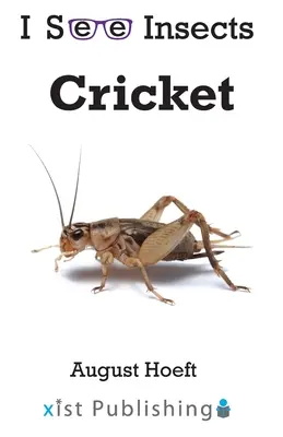 Cvrček - Cricket