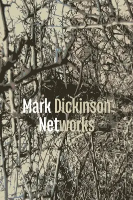 Siete - Networks
