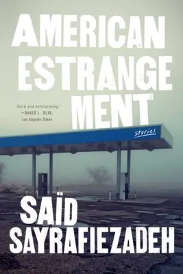 Americké odcudzenie: Príbehy - American Estrangement: Stories