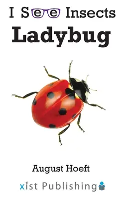 Beruška - Ladybug
