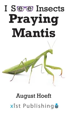 Kudlanka nábožná - Praying Mantis