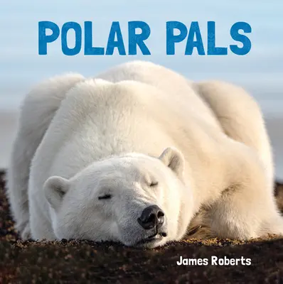 Polárni kamaráti - Polar Pals