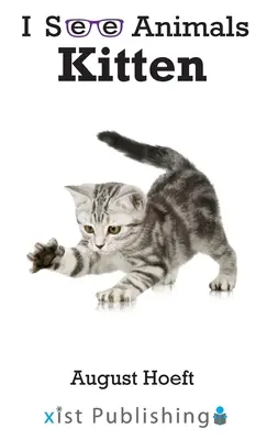 Mačiatko - Kitten
