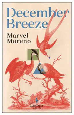 Decembrový vánok - December Breeze