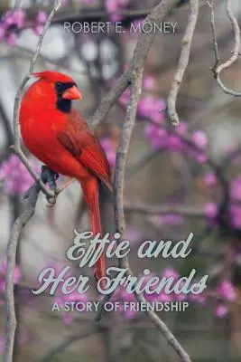 Effie a jej priatelia: Príbeh o priateľstve - Effie and Her Friends: A Story of Friendship