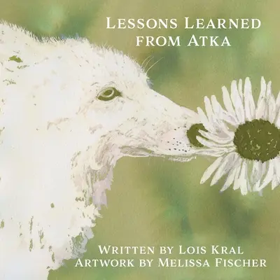 Poučenie z Atky - Lessons Learned from Atka