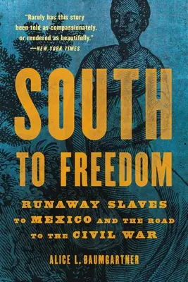 Na juh za slobodou: Útek otrokov do Mexika a cesta k občianskej vojne - South to Freedom: Runaway Slaves to Mexico and the Road to the Civil War