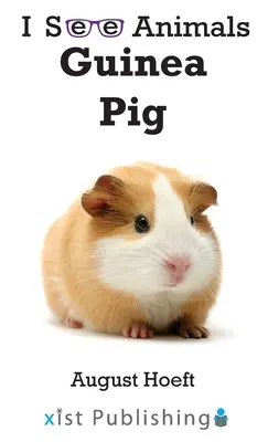 Morča - Guinea Pig