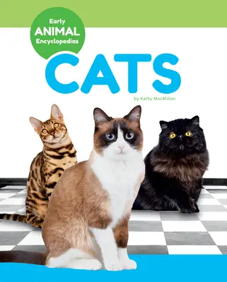Mačky - Cats